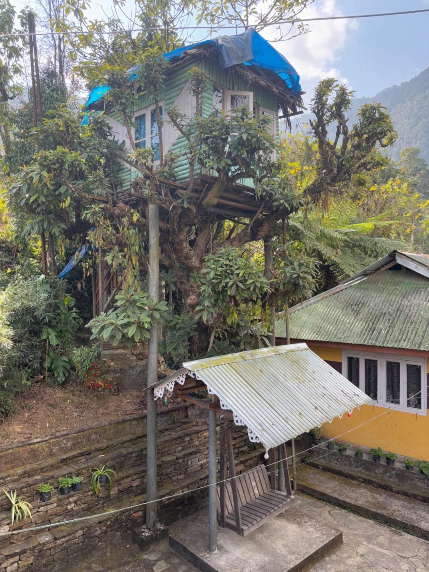 Odyssey'S Darap Eco Retreat Apartment Pelling Exterior photo